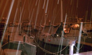 Marina Snow 2011