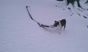 BigSnowStick Big Snow Stick