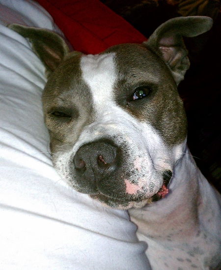 Knows She's Cute She Knows She's Cute