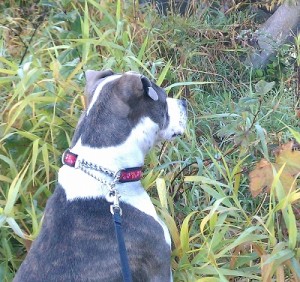 Bella Spies With Her Little Eyes...