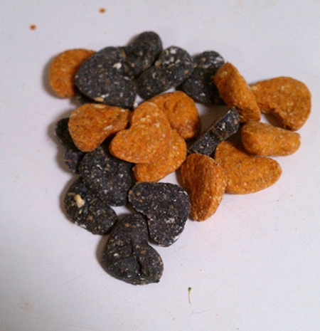 Dog Halloween Treats