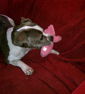 Pink Elephant 2