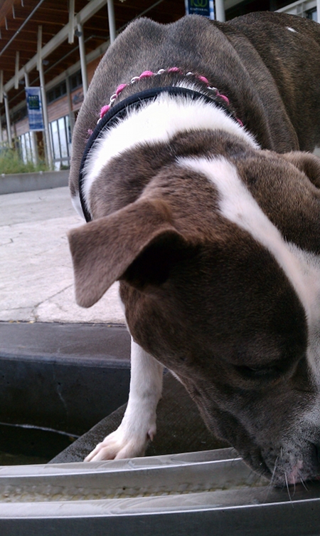 Bella too close