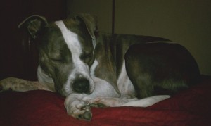 Bed Sleeper