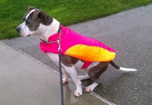 Bella's Raincoat