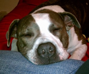 Snooze on Mommy's Lap