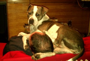 headlock 1